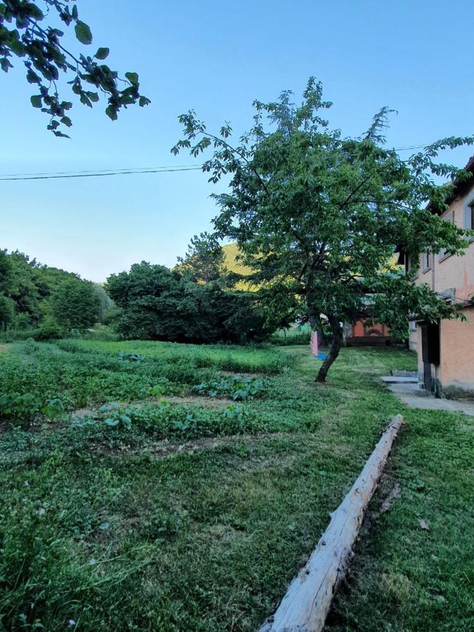 B&B Calecatine Rocca di Botte Экстерьер фото